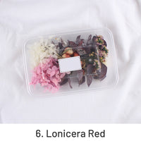 6. Lonicera Red