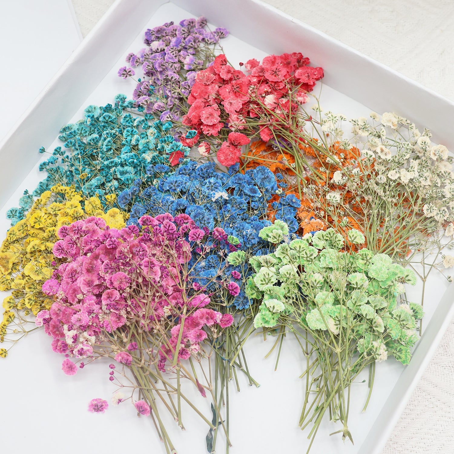 Babys Breath DIY Dried Flower Material Pack 1