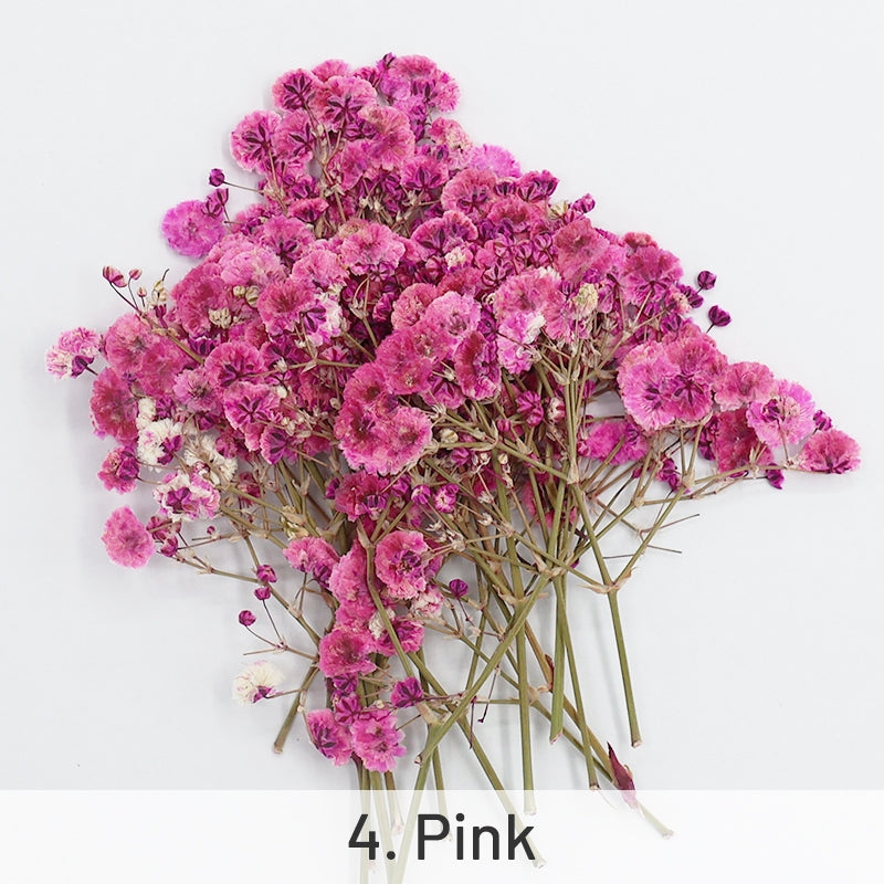 Babys Breath DIY Dried Flower Material Pack sku-4
