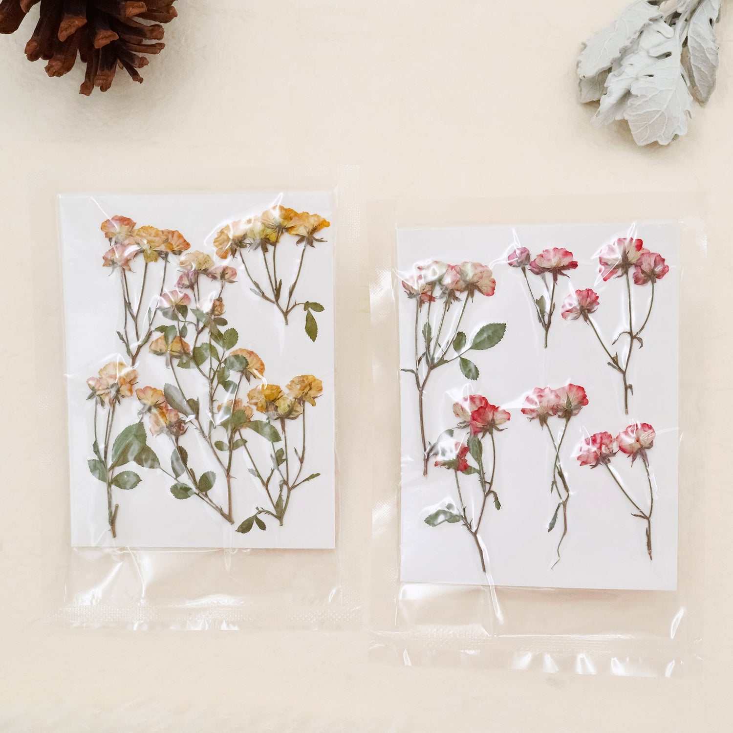 Stamprints Rosas Secas Prensadas en Spray-1