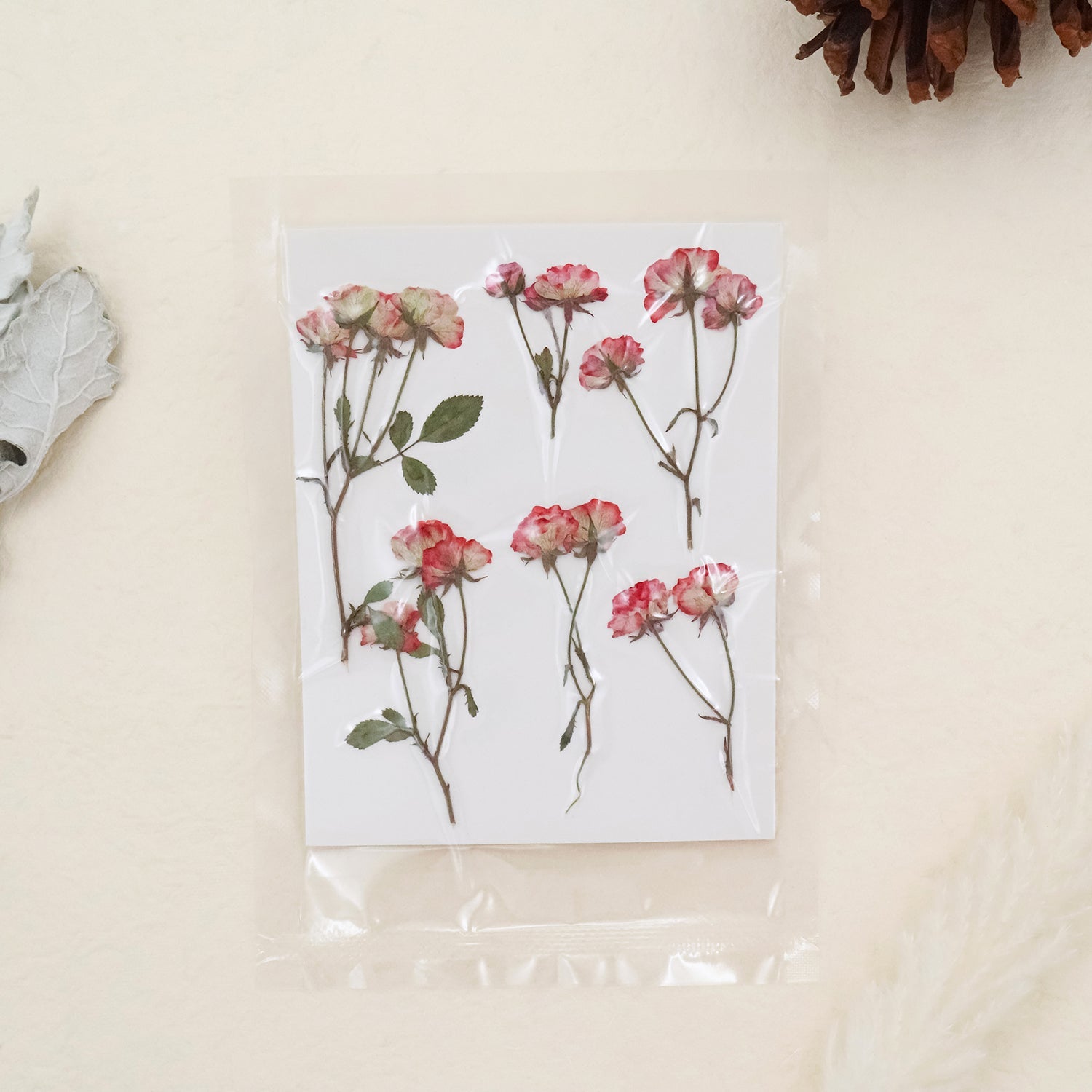 Stamprints Rosas Secas Prensadas en Spray-5